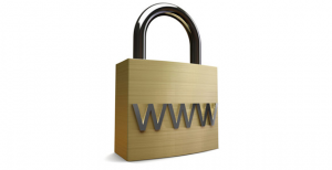 Need for secure Web Hosting
